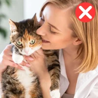 Pet (7)
